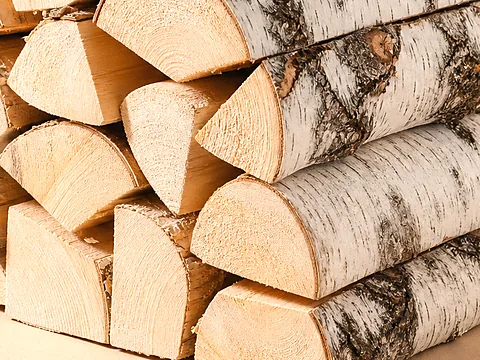 Береста для розжига — фактура распила